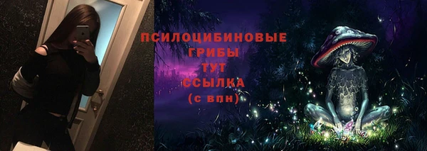 бутират Алзамай